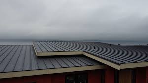 Best Roof Maintenance and Cleaning  in Ainaloa, HI